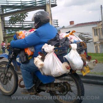 Gallinas motorizadas
Gracias a JenLondoño
