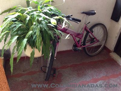 Cicla asegurada
