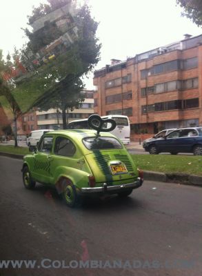 Escarabajo de cuerda
