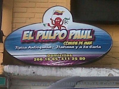 pulpo Paul
