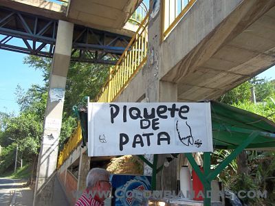 Piquete de pata  y los domingos Picada de picos
Puente los colorados, salida de Bucaramanga a la costa Atlantica
Keywords: pata, picos