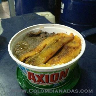 comida de axion
