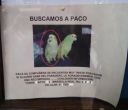 normal_colombianadas_33325B15D.jpg