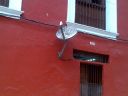 Bonita_Antena_-_Cagada.jpg