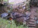 Vaquita_junto_a_Escalera.jpg