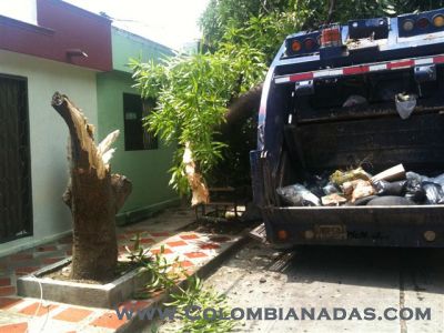 colombianadas
podadoras
Keywords: camion, basura, carro, arbol