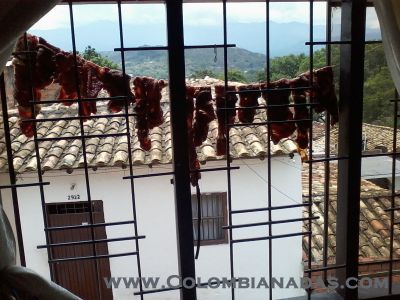  vista
la mejor vista a la calle
Keywords: carne